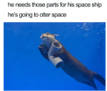 1623305754726.png