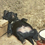 1623935172569.png
