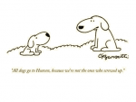 1624076648118.png