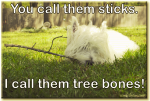 1624249308897.png
