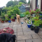 20210626_161202.jpg 20210626_161202.jpg