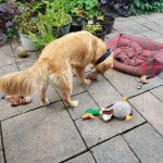 20210626_160436.jpg 20210626_160436.jpg