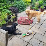 20210626_160416.jpg 20210626_160416.jpg