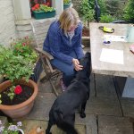 20210626_160444.jpg 20210626_160444.jpg