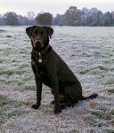 Lady Aged 1 and 3 months.jpg