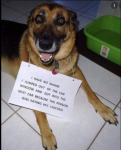 1625206472890.png