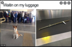 1625206744609.png