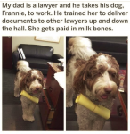 1625287337568.png