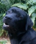 IMG_20201011_144519~3.jpg