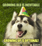 1626323292744.png