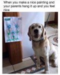 FB_IMG_1626518345688.jpg