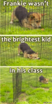 1627274023048.png