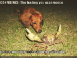 1627619432631.png