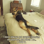 1627619457722.png
