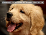 1627636190556.png