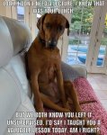 FB_IMG_1627645020476.jpg
