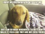 1627705778800.png