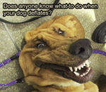 1627965626217.png