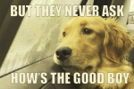 1628482991567.png