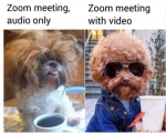1628488206676.png