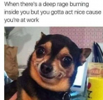 1628488263396.png