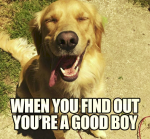 1628569553265.png