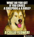 1628569572748.png
