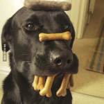 1628742718691.png