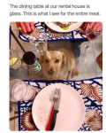 1628751008940.png