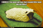 1628829491332.png