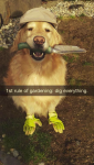 1629088072839.png