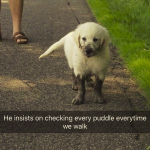 1629088100482.png