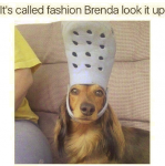 1629263719927.png