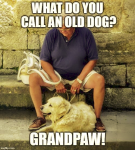 1629434084250.png