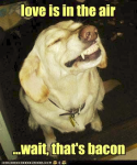 1629520870445.png