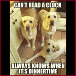 1629520890072.png