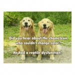 1629781572203.png