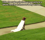 1629865647158.png