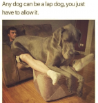 1629952084592.png