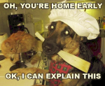 1630039221616.png