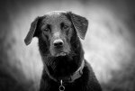 untitled (52 of 54).jpg