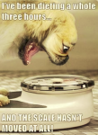 1630125653714.png