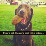 1630470446612.png