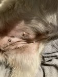 8460DB1B-3C36-4761-B9E1-55FD9E3DC823.jpeg