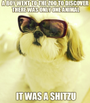 1630816752426.png