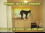 1631161905825.png