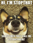 1631508750338.png
