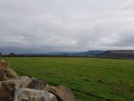 20210912_105636.jpg 20210912_105636.jpg