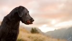 Andorra Location Scout #1-2084-edit853.jpg
