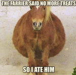 1631681477527.png